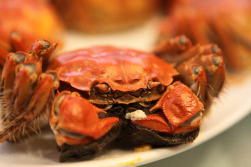 陽澄湖大閘蟹價(jià)格表