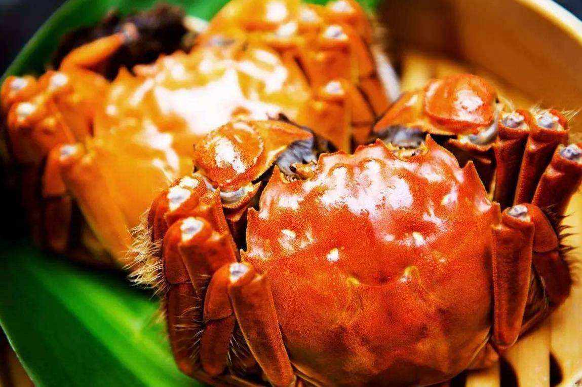 陽澄湖大閘蟹價(jià)格表